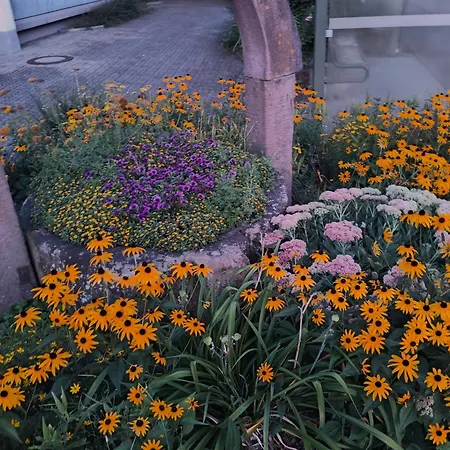 Onkel Franz 公寓 *