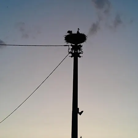 Onkel Franz Ohlsbach