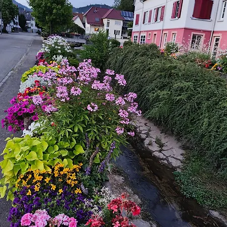 Onkel Franz Apartmán *