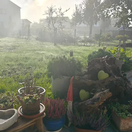 Onkel Franz Ohlsbach