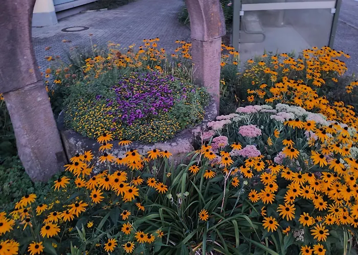 Onkel Franz Apartman *