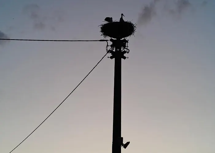 Onkel Franz Ohlsbach