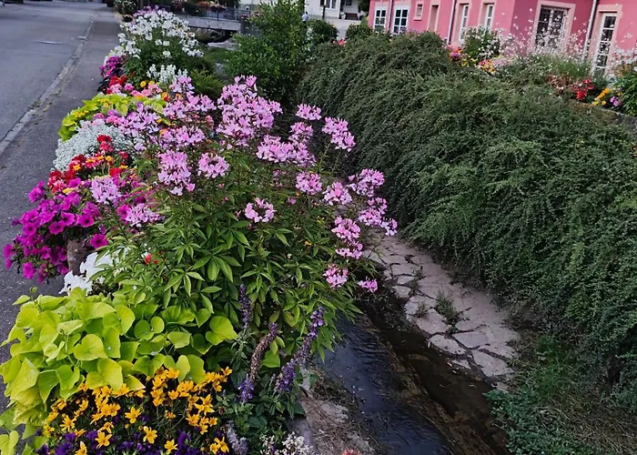 Onkel Franz Apartman *